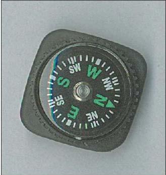 Compass - 1203 - Easy International Trade